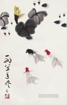 Chino Painting - Pez dorado Wu Zuoren 1985 China tradicional